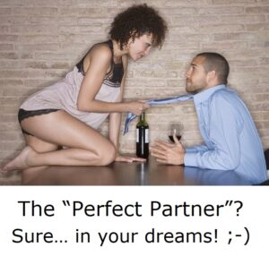 Read more about the article The “Perfect Partner”